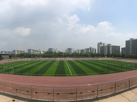 ملعب جامعة تيانجين للتكنولوجيا