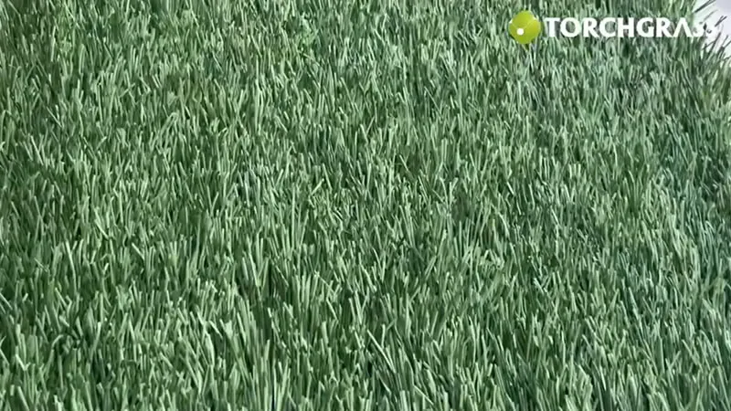 عشب صناعي متعدد الاستخدامات - Monoslide XQ M3