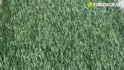 عشب صناعي متعدد الاستخدامات - Monoslide XQ M3