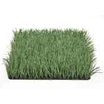 عشب اصطناعي للملاعب في المدارس والجامعات