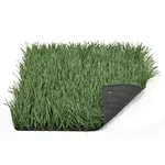 عشب اصطناعي للملاعب في المدارس والجامعات