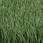 عشب اصطناعي للملاعب في المدارس والجامعات