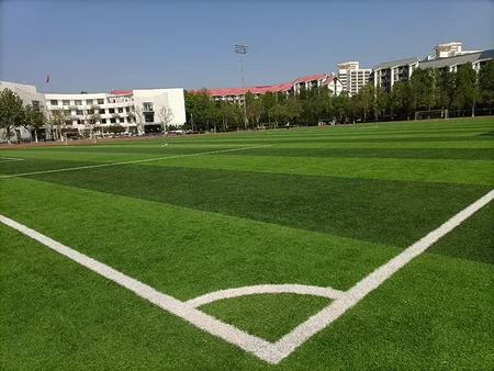 ملعب جامعة Beijing Tsinghua