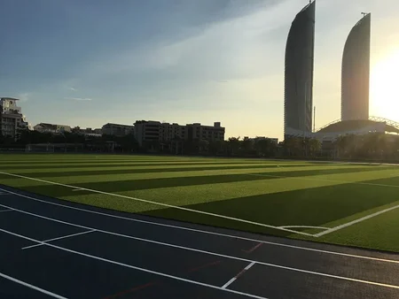 ملعب جامعة شيامن