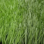 عشب صناعي نوع Monoslide XQ D3