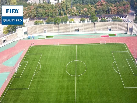 الملعب الرياضي بجامعة Shaanxi Normal University (الحرم الجامعي فرع Chang'an)