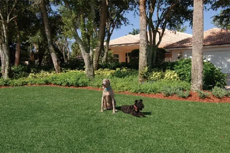 نماذج متعلقة