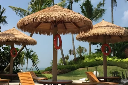 Related Case Studies