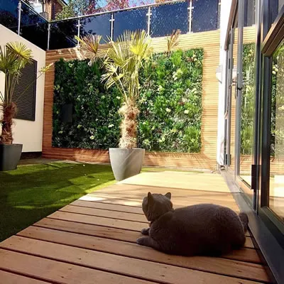 جدران من العشب الصناعي بتصاميم فاخرة